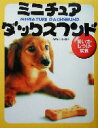 西東社出版部(編者)販売会社/発売会社：西東社/ 発売年月日：2003/03/12JAN：9784791611577