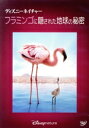 【中古】 ディズニーネイチャー/フラミンゴに隠された地球の秘密/マシュー・エバーハード(監督、製作),リーンダー・ワード(監督、製作),スティーヴン・ギャレット...