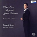 【中古】 夢と眠りの先にあるもの−What Lies Beyond Your Dreams/河野鉄平/田中健