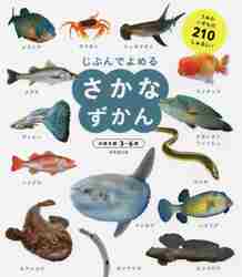 じぶんでよめるさかなずかん　対象年齢3?6歳　うみのいきもの210しゅるい！