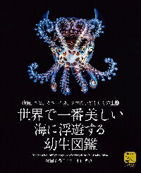 ǰͷ޴այӡˡλҤɤ⤿