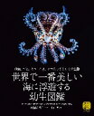 世界で一番美しい海に浮遊する幼生図鑑 稚魚、エビ、カニ、イカ、タコの子どもたちの生態