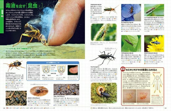 小学館の図鑑 NEO 危険生物 DVD付き