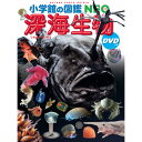 小学館の図鑑 NEO 深海生物 DVDつき 小学館の図鑑 NEO 深海生物 DVDつき