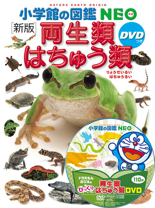 y wق̐} NEO kVŁl ށE͂イ DVD z  NEO w } DVD h ǂ炦 CXg ʐ^ 3 4 5 w wZ wN wN wN y wK g {i v[g w j 蕨