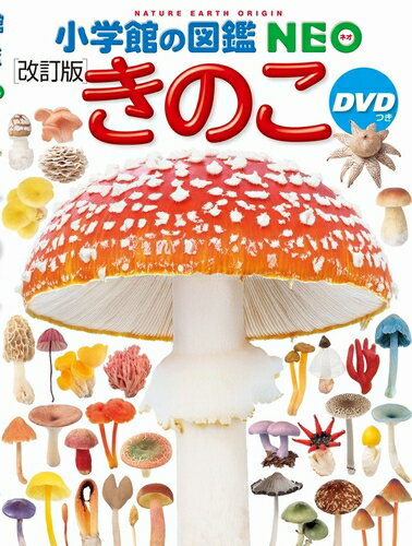 【 小学館の図鑑 NEO きのこ DVDつき 改訂版 】 ずかん NEO 小学館 図鑑 DVD ドラえもん どらえもん イラスト 写真 3歳 4歳 5歳 小学生 小学校 低学年 中学年 高学年 楽しい 学習 長く使える 本格 プレゼント 入学 お祝い 贈り物