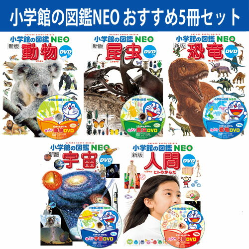 【 小学館の図鑑 NEO おすすめ5冊セット 】 ずかん ネオ 小学館 図鑑 イラスト 写真 3歳 4歳 5歳 小学生 小学校 低学年 中学年 高学年 楽しい ...