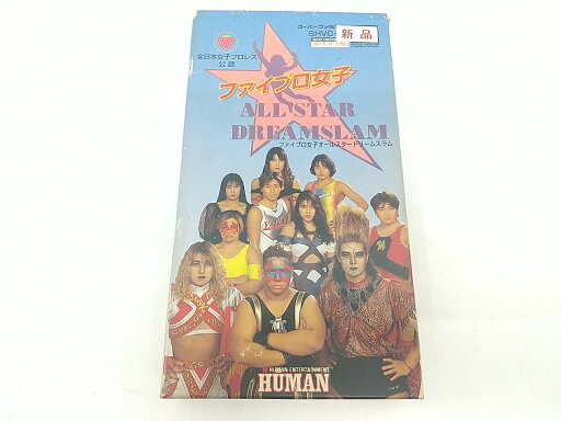 SFC ファイプロ女子ALL STAR DREAMSLAM HUMAN スーパーファミコン ファイヤープロレスリング アジャコング ブル中野 井上京子 北斗晶 2507-BXat-35 SFC ファイプロ女子ALL STAR DREAMSLAM HUMAN スーパーファミコン ファイヤープロレスリング アジャコング ブル中野 井上京子 北斗晶 2507-BXat-35