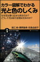 カラー図解でわかる光と色のしくみ なぜ空は青く虹は七色なのか? どうして花は彩り生物は光るのか? (サイエンス・アイ新書)