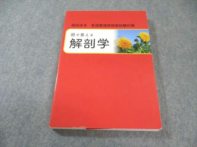 白誠書房 柔道整復師国家試験対策 図で覚える解剖学 2019 017m3C