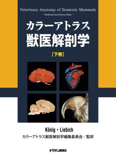 楽天市場】カラーアトラス獣医解剖学 下巻の通販 楽天市場】カラーアトラス獣医解剖学 下巻の通販