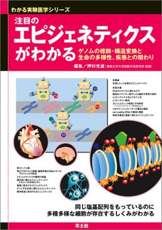 注目のエピジェネティクスがわかる―ゲノムの修飾・構造変換と生命の多様性、疾患との関わり (わかる実験医学シリーズ―基本&amp;トピックス) 押村 光雄