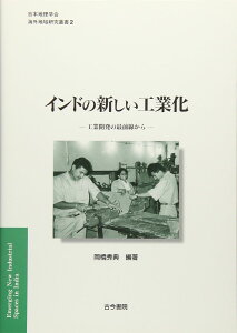インドの新しい工業化: 工業開発の最前線から (日本地理学会海外地域研究叢書 2)