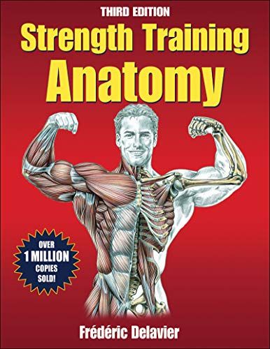 Strength Training Anatomy ペーパーバック Delavier， Frederic