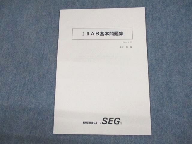 UR10-099 SEG IIIAB基本問題集 テキスト 状態良い 金子裕 05s0C