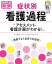 アセスメント 看護計画がわかる 症状別 看護過程 (プチナースBOOKS) 小田正枝