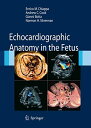Echocardiographic Anatomy in the Fetus ChiappaC EnricoA CookC Andrew C.A BottaC Gianni; SilvermanC Norman H.