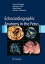 Echocardiographic Anatomy in the Fetus Chiappa Enrico Cook Andrew C. Botta Gianni; Silverman Norman H.