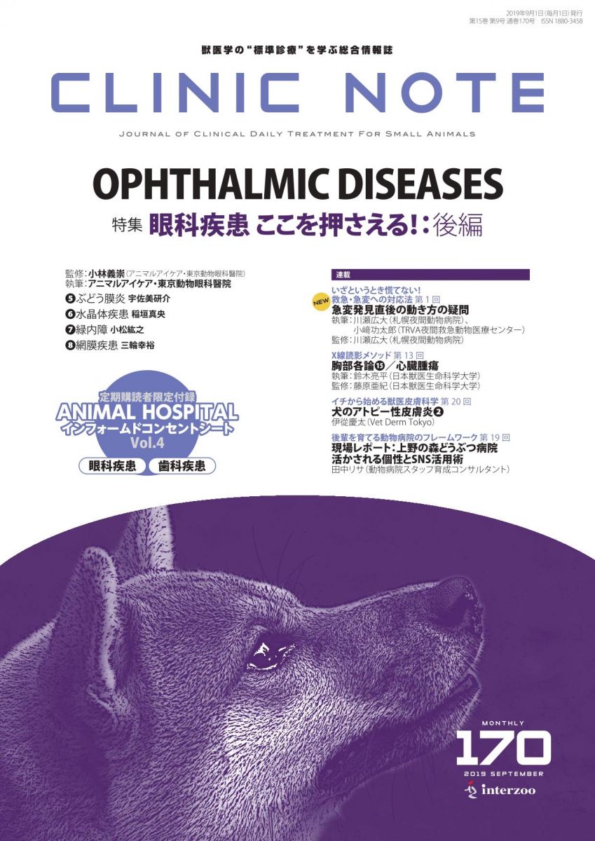 総合情報誌 CLINIC NOTE 2019年9月号 (特集:眼科疾患 ここを押さえる!:後編) [雑誌]