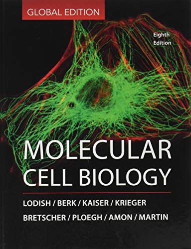 Molecular Cell Biology ハードカバー Lodish， Harvey Berk， Arnold Kaiser， Chris A. Amon， Angelika Ploegh， Hidde Bretscher， A