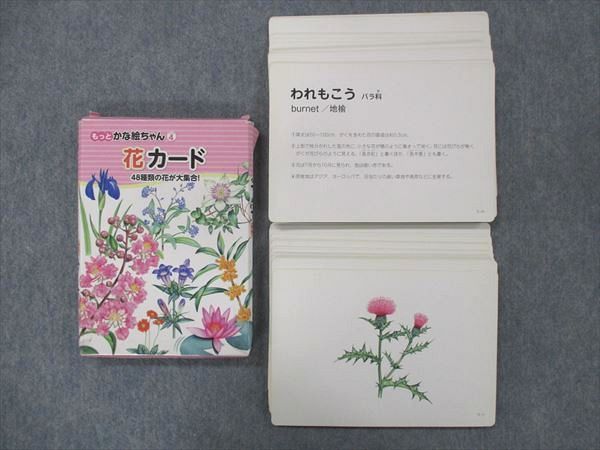 UH13-021 七田式/しちだ 花カード 48種類の花が大重合! もっとかな絵ちゃん(シリーズ4) 25S2C