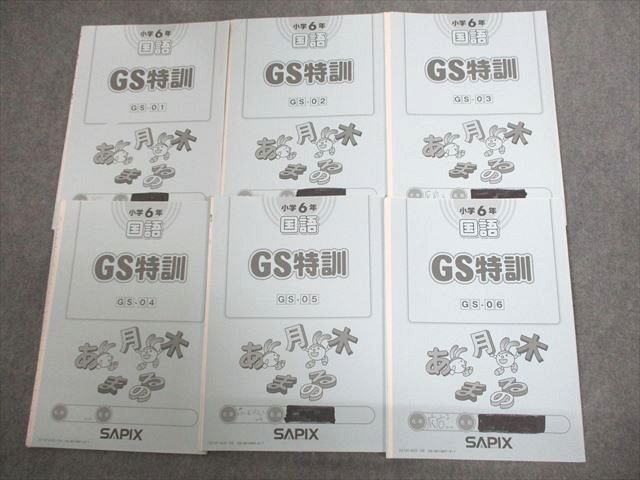 SAPIX 小6 国語 GS特訓 GS-01〜06 2021年度版 計6冊 ☆ 017S2D