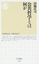 公共哲学とは何か (ちくま新書 469)