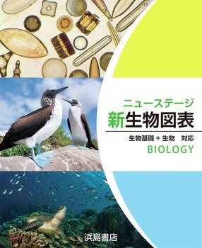 ニューステージ生物図表: 生物基礎+生物対応 浜島書店