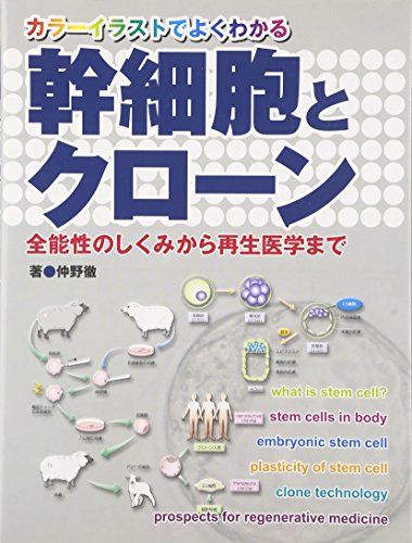 幹細胞とクローン―カラーイラストでよくわかる 全能性のしくみから再生医学まで 仲野 徹