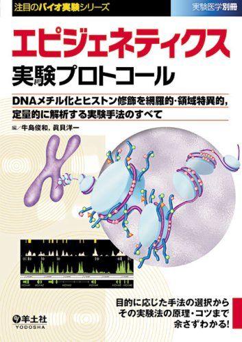 エピジェネティクス実験プロトコール―DNAメチル化とヒストン修飾を網羅的・領域特異的，(実験医学別冊 注目のバイオ実験シリーズ)  牛島 俊和; 眞貝 洋一