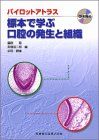 標本で学ぶ口腔の発生と組織―パイロットアトラス 脇田稔、 栗栖浩二郎; 前田健康