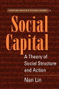 Social Capital: A Theory of Social Structure and Action (Structural Analysis in the Social Sciences, Series Number 19)