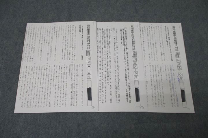 SAPIX サピックス 開成コース 夏期集中志望校錬成特訓 国語 NKA-01/03/05 テスト計3回分セット 2022 ☆ ..
