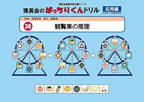 030 ばっちりくんドリル 観覧車の推理(応用編) (理英会の家庭学習支援シリーズ) [大型本] 理英会出版のサムネイル