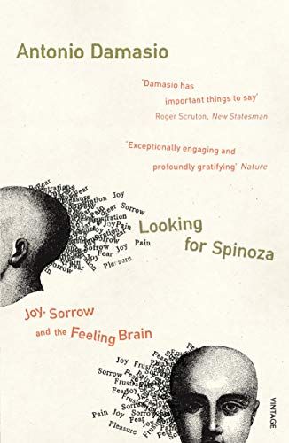 Looking For Spinoza: Joy Sorrow and the Feeling Brain