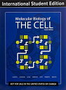 Molecular Biology of the Cell ペーパーバック Alberts， Bruce