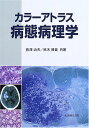 カラーアトラス 病態病理学 治夫, 長澤; 博義, 鈴木