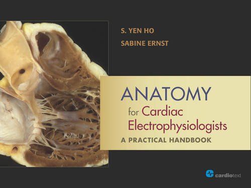 Anatomy for Cardiac Electrophysiologists: A Practical Handbook Ho， S. Yen; Ernst， Sabine
