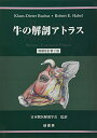 牛の解剖アトラス