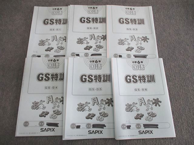 SAPIX 小6 サピックス GS特訓 国語 GS01〜06 【計6回分】 2022 ☆ 020m2D