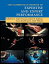 The Cambridge Handbook of Expertise and Expert Performance (Cambridge Handbooks in Psychology) [ڡѡХå] Ericsson K. Ander