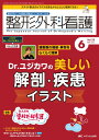 整形外科看護 2024年6月号〈特集〉運動器の機能・解剖をらくらく理解 Dr.ユジカワの 美しい解剖・疾患イラスト(第29巻6号)