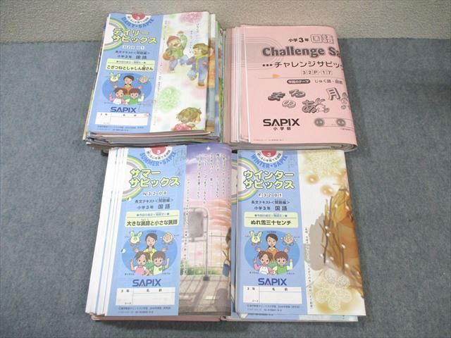 WH01-171 SAPIX 小3 サピックス デイリー/チャレンジ/サマー/ウインター 国語 通年セット 【計46回分】 2019★ ☆ 000L2D