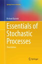 Essentials of Stochastic Processes (Springer Texts in Statistics)