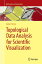 Topological Data Analysis for Scientific Visualization (Mathematics and Visualization)