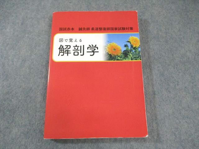 日本柔整師国家試験対策協会 柔道整復師国家試験 図で覚える解剖学 2023年合格目標 017m4C