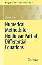 Numerical Methods for Nonlinear Partial Differential Equations (Springer Series in Computational Mathematics， 47) [ハードカバー] Bart