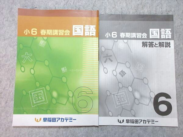 早稲田アカデミー 小6 春期講習会 国語 2024 005s2B