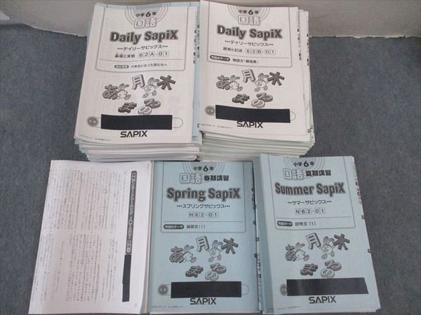 SAPIX 小6年 国語 デイリー/トレーニング/スプリング/サマーサピックス/他 通年セット 2018 ★ ☆ 000L2D