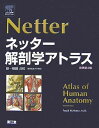 南江堂 ネッター 解剖学アトラス 原書第4版 2007 Frank H.Netter